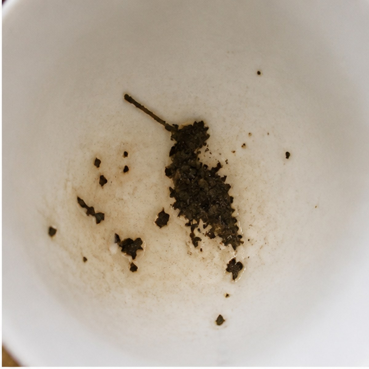 Kingfisher tea leaves cup variation one