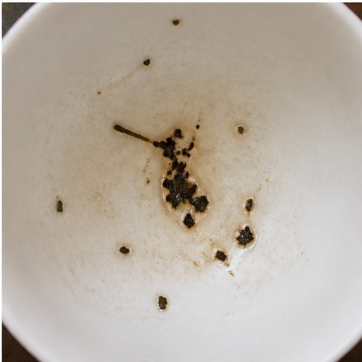 Kingfisher tea leaves cup variation three