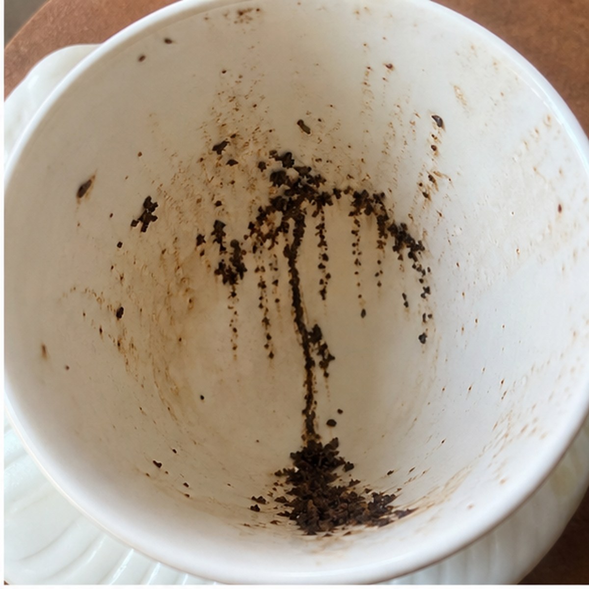 Laburnum Tree tea leaves cup variation one