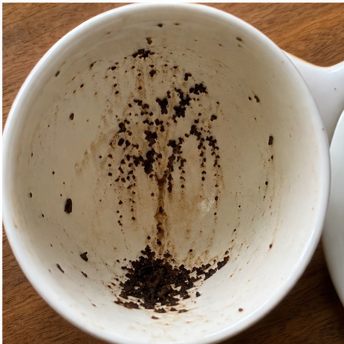 Laburnum Tree tea leaves cup variation three