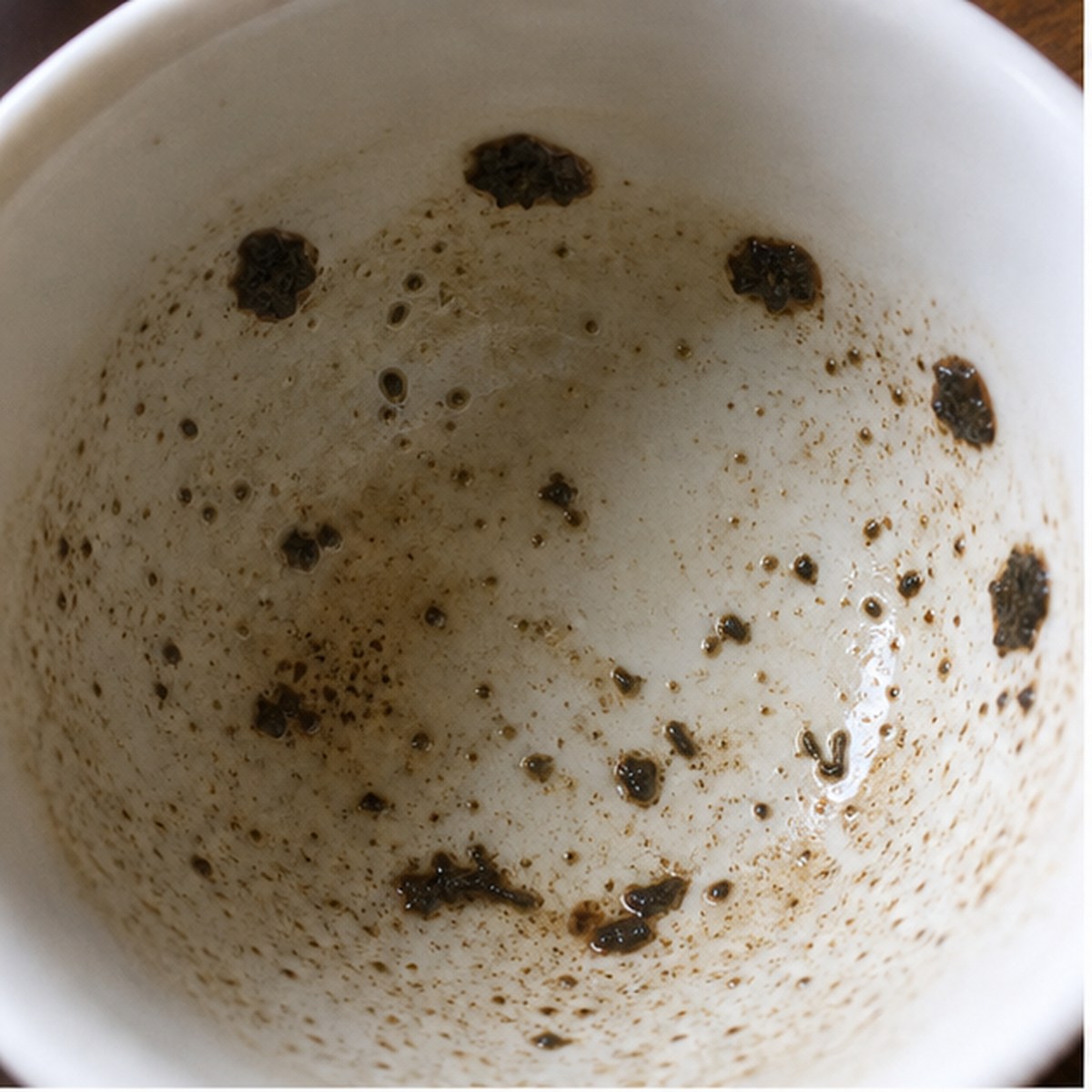 Limpets tea leaf reading cup example