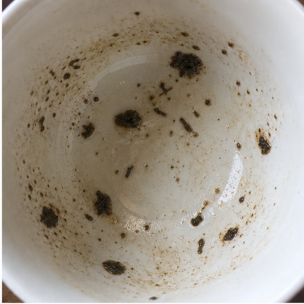 Limpets tea leaves cup variation one