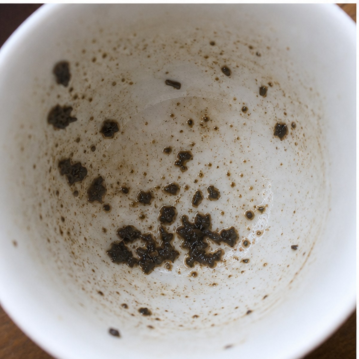 Limpets tea leaves cup variation two