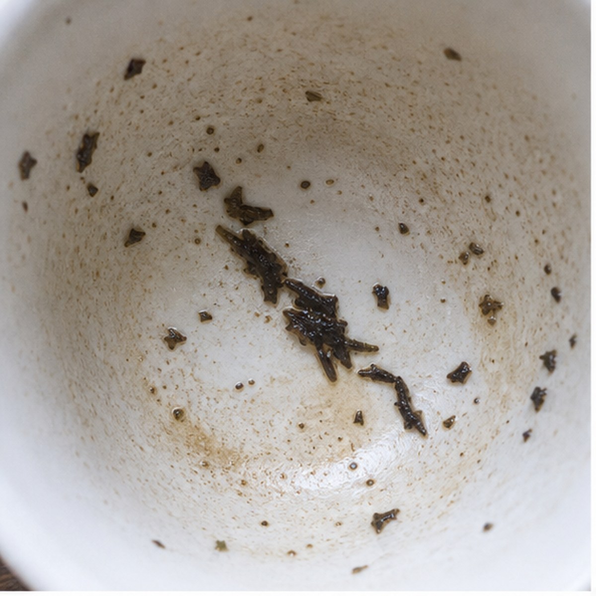 Lizard tea leaf reading cup example