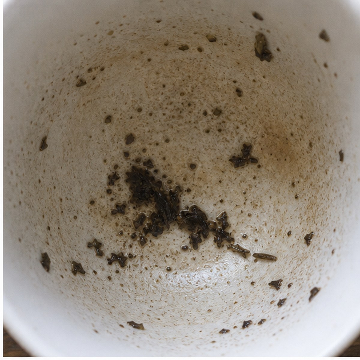 Lizard tea leaves cup variation one