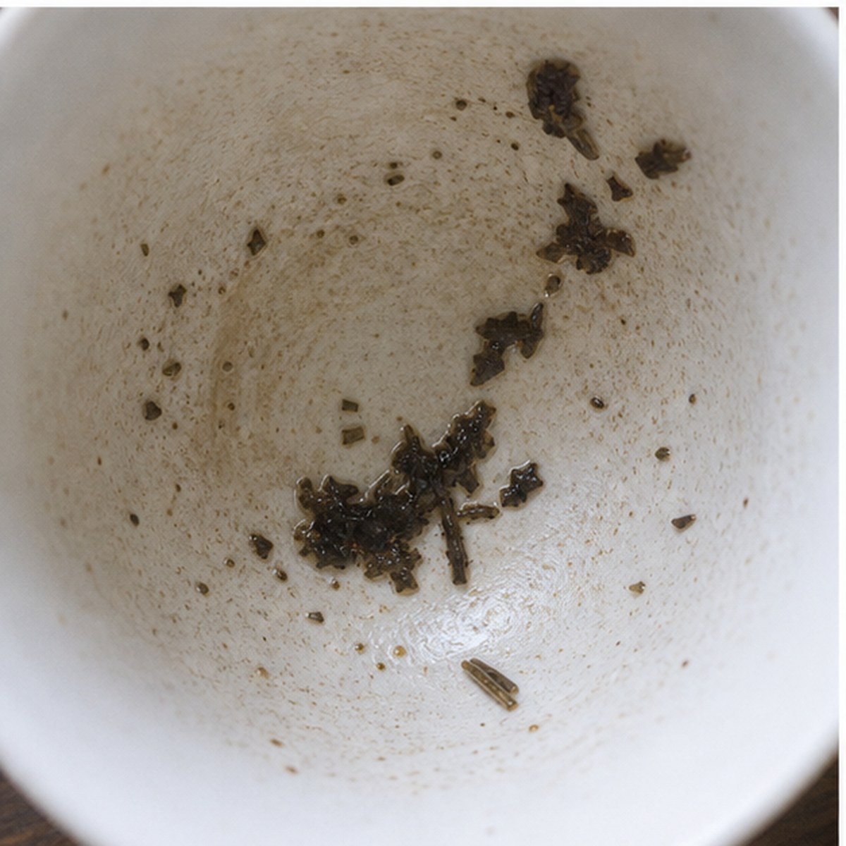 Lizard tea leaves cup variation two