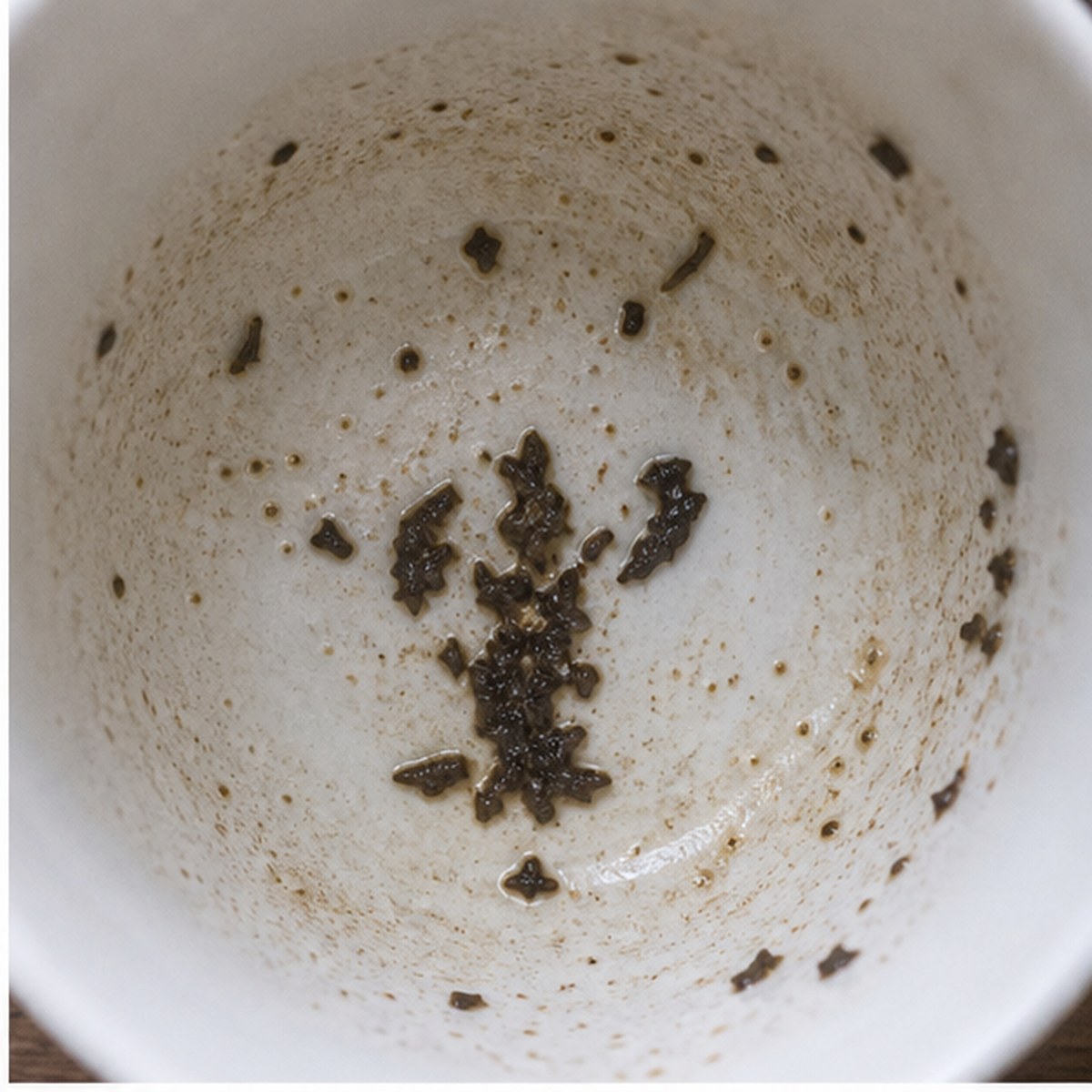 Lobster tea leaves cup variation one