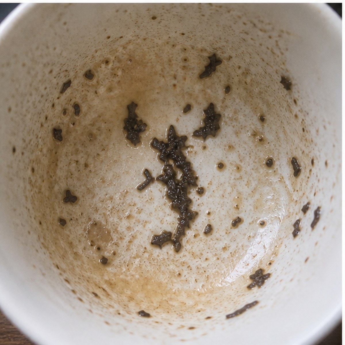 Lobster tea leaves cup variation two