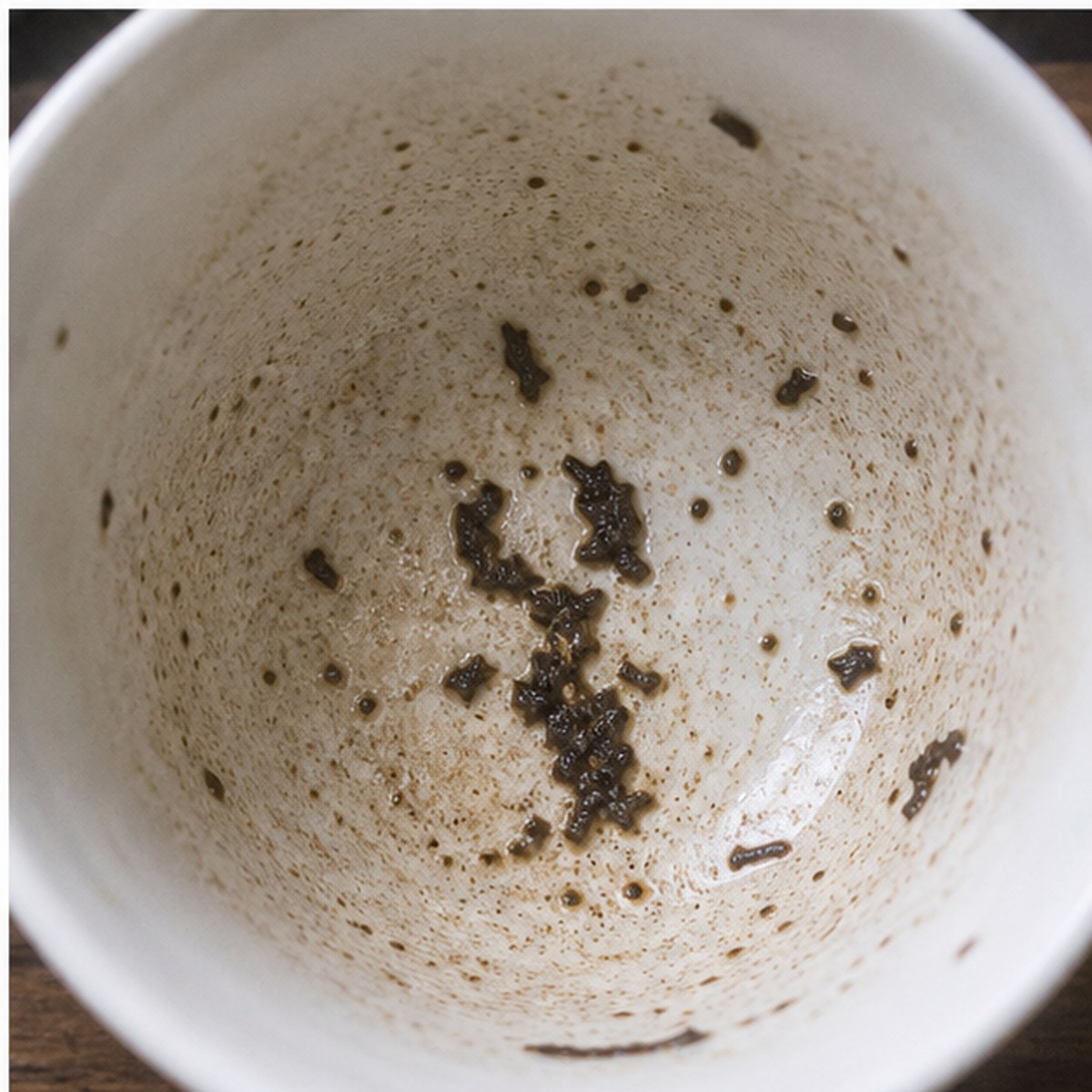 Lobster tea leaves cup variation three