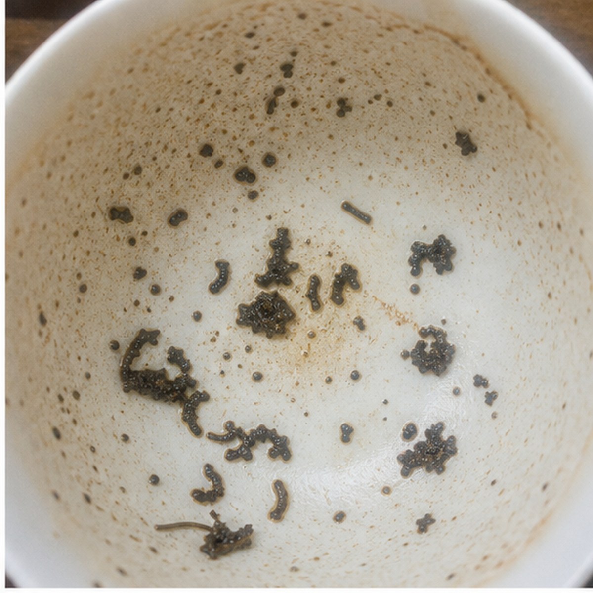 Macaroni tea leaves cup variation one