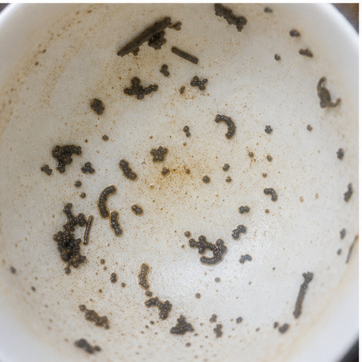 Macaroni tea leaves cup variation two