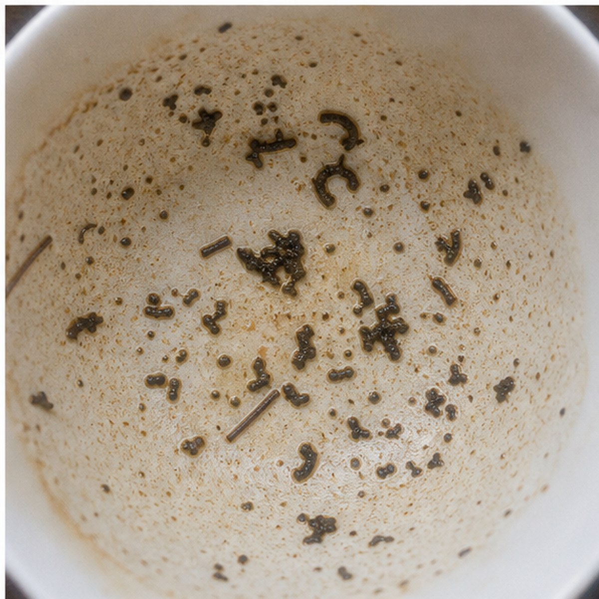Macaroni tea leaves cup variation three