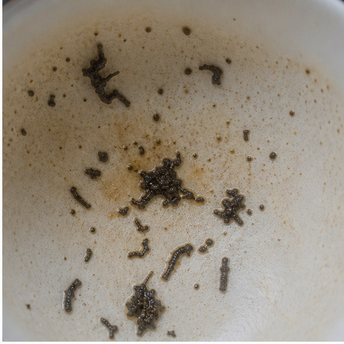 Mace tea leaves cup variation one