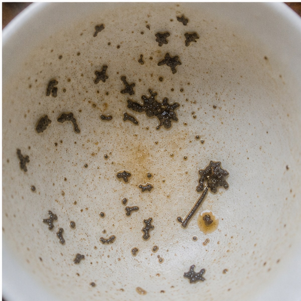 Mace tea leaves cup variation three