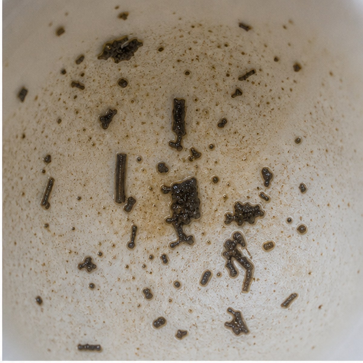 Machine tea leaves cup variation one