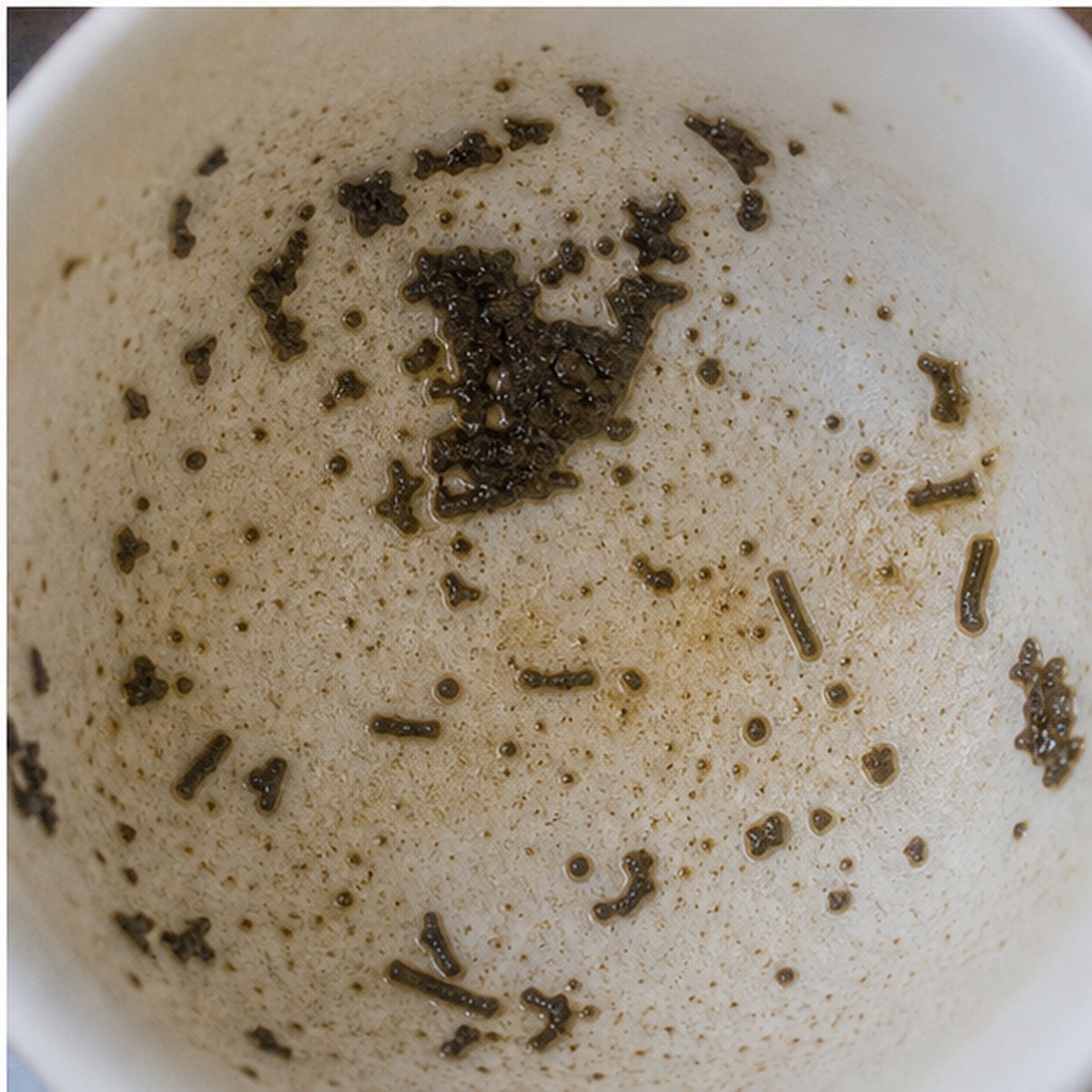 Machine tea leaves cup variation three