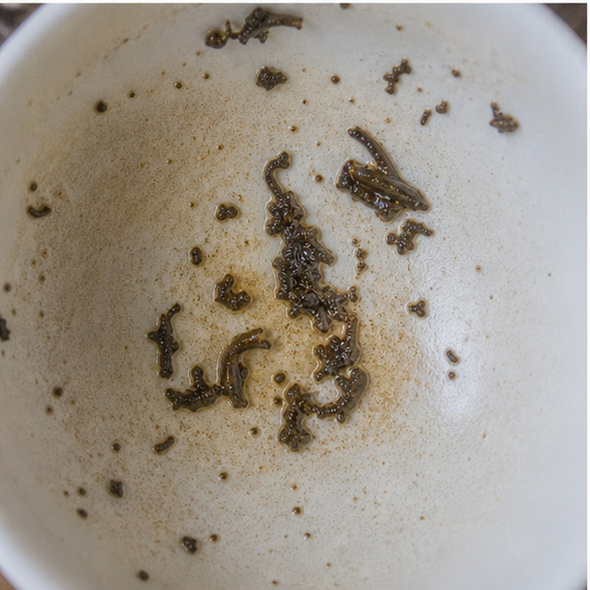 Madonna Lily tea leaves cup variation two