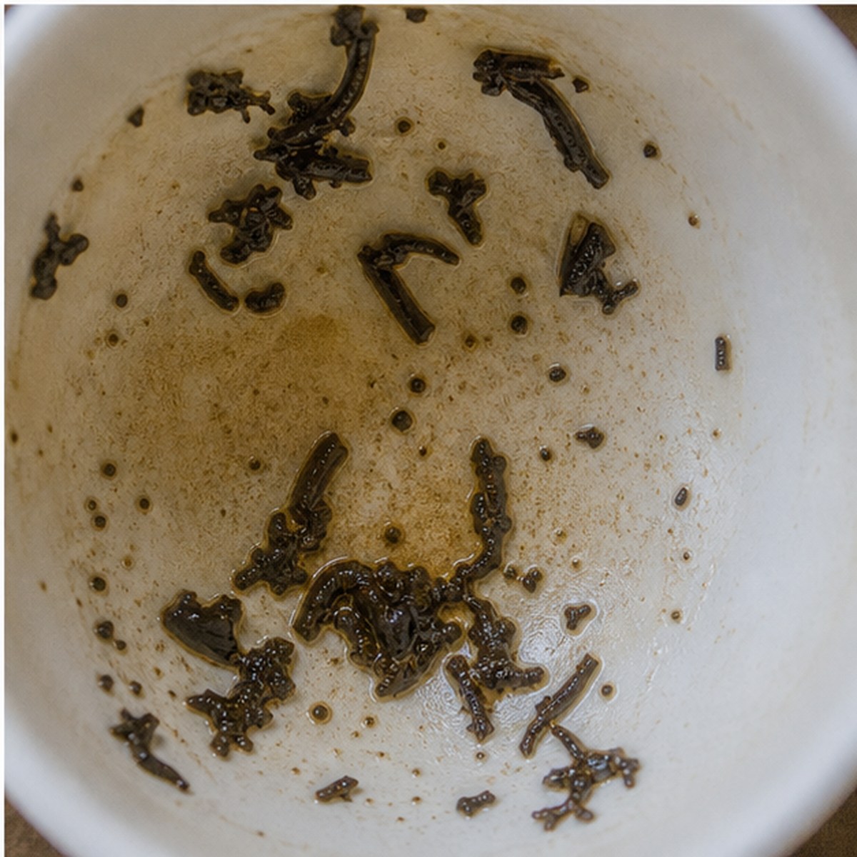 Madonna Lily tea leaves cup variation three