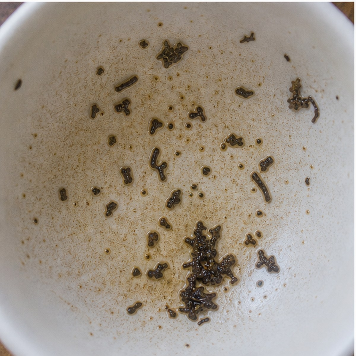 Magnet tea leaves cup variation two