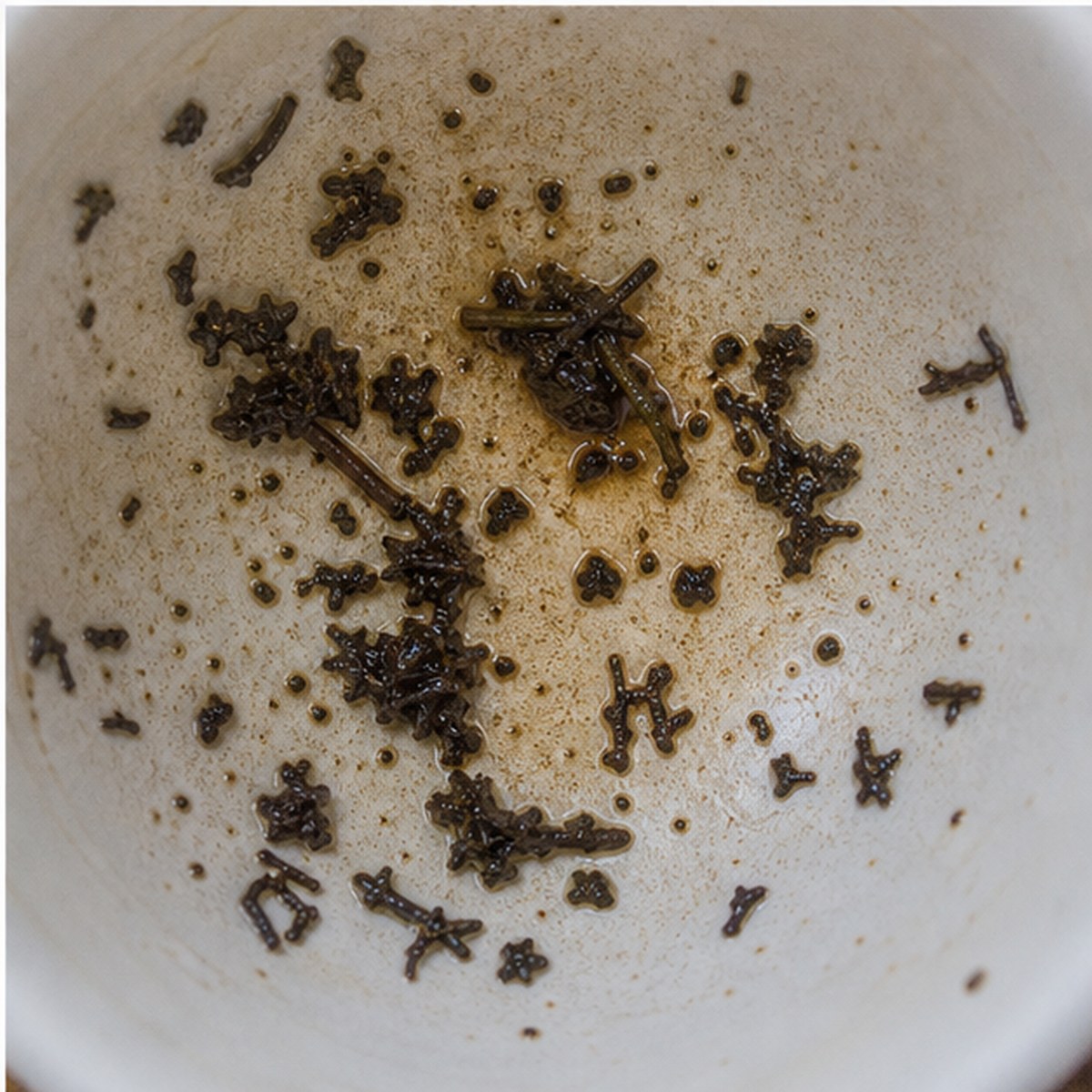 Magnet tea leaves cup variation three