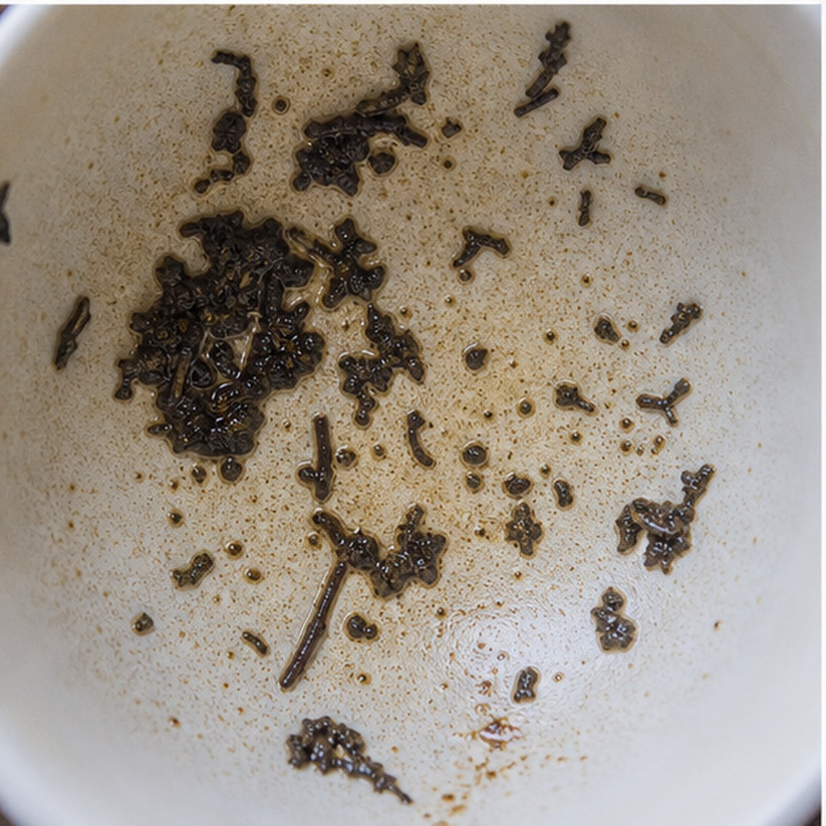 Magnifying Glass tea leaves cup variation two