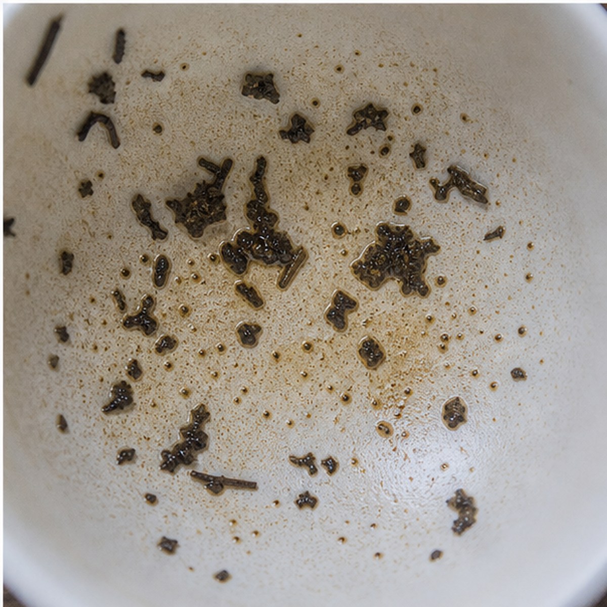 Magnifying Glass tea leaves cup variation three