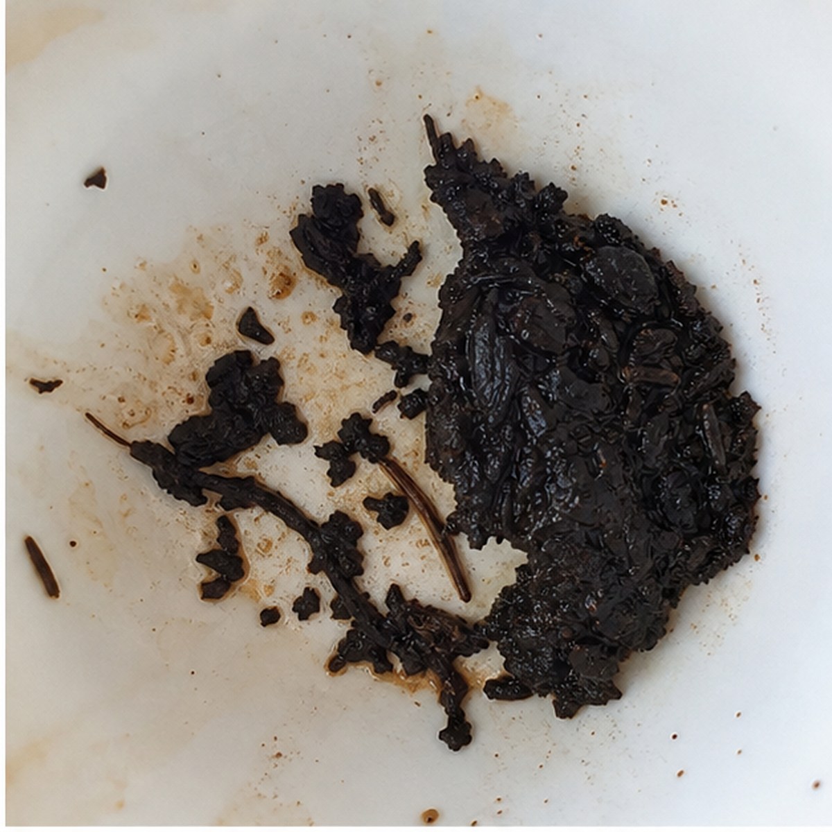 Monkey-On-Organ tea leaves cup variation one