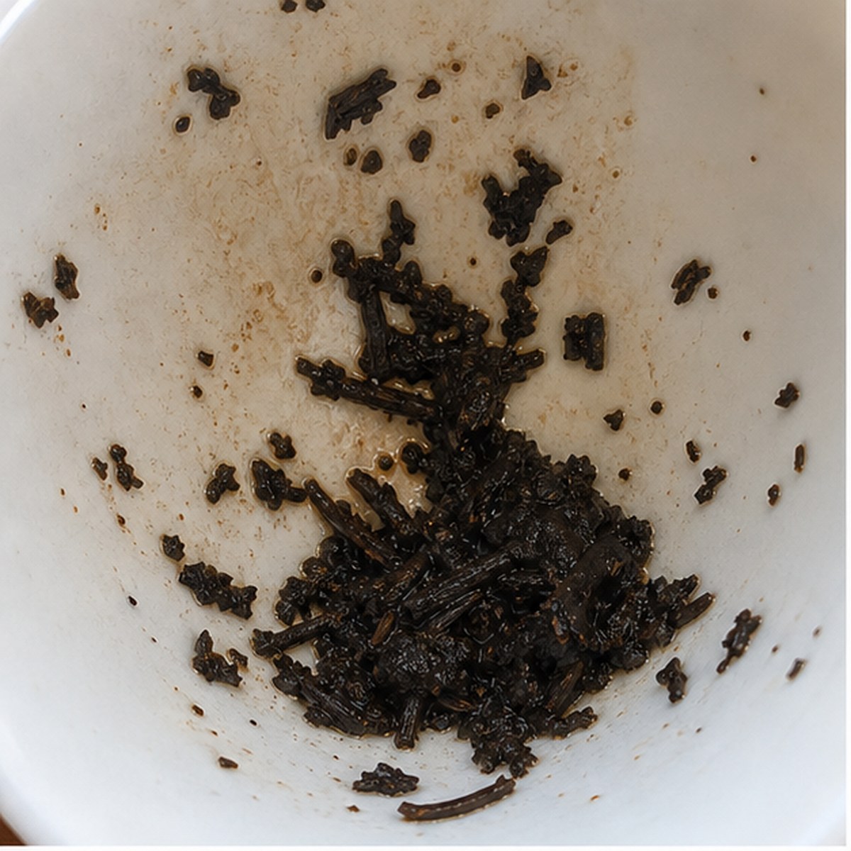 Monkey Puzzle Tree tea leaf reading cup example