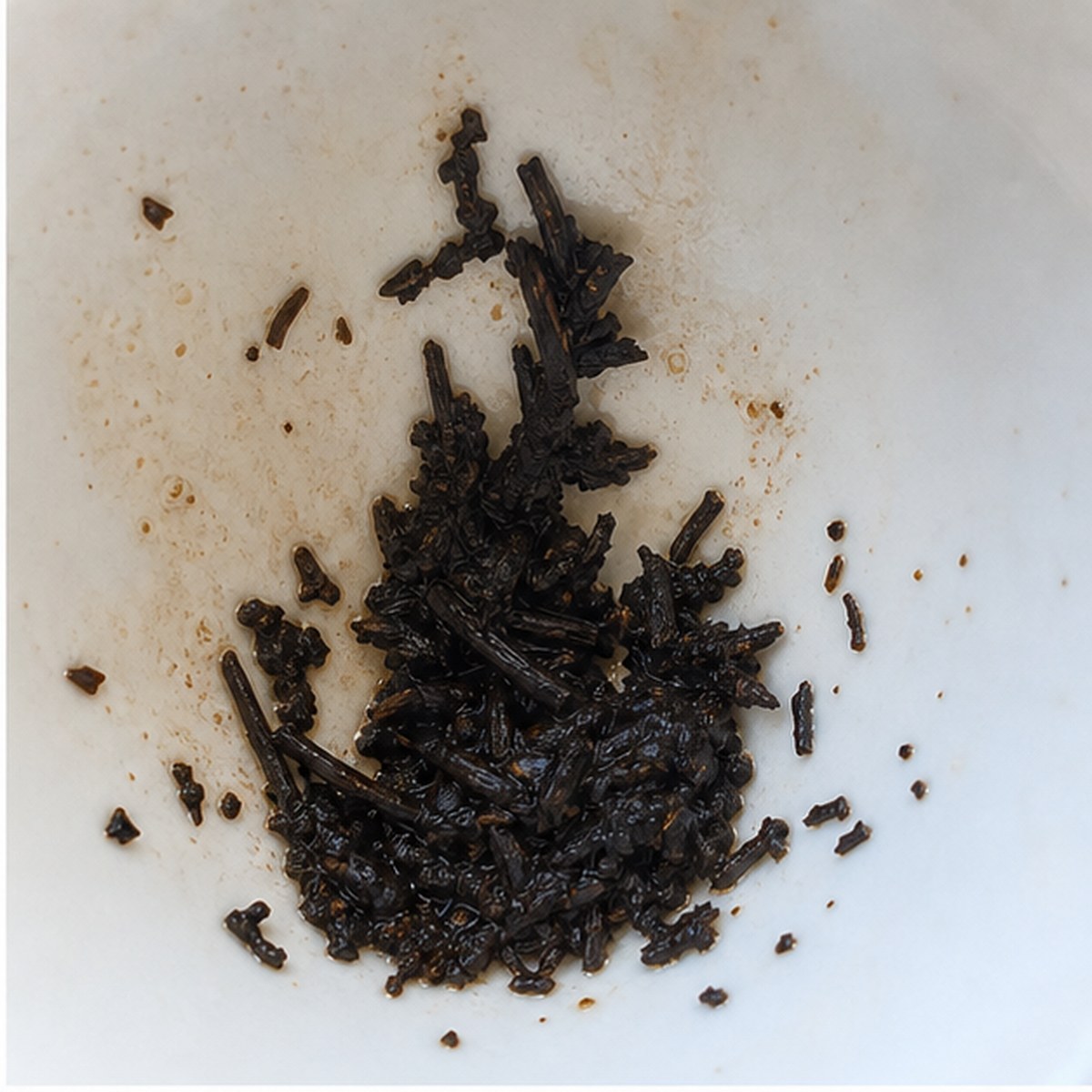 Monkey Puzzle Tree tea leaves cup variation one