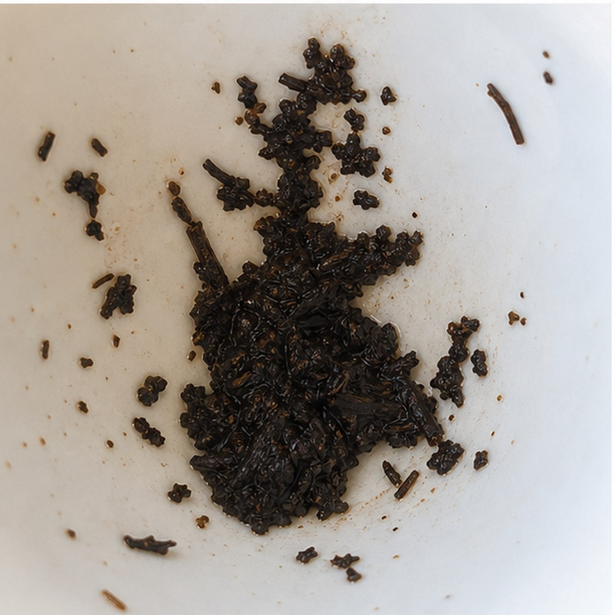 Monkey Puzzle Tree tea leaves cup variation two