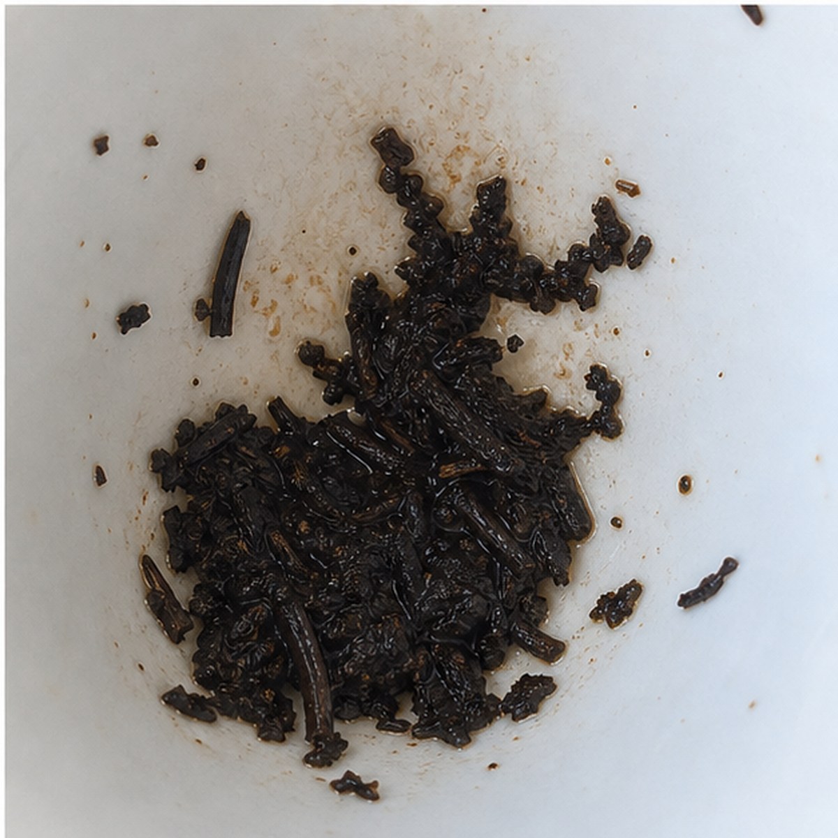 Monkey Puzzle Tree tea leaves cup variation three