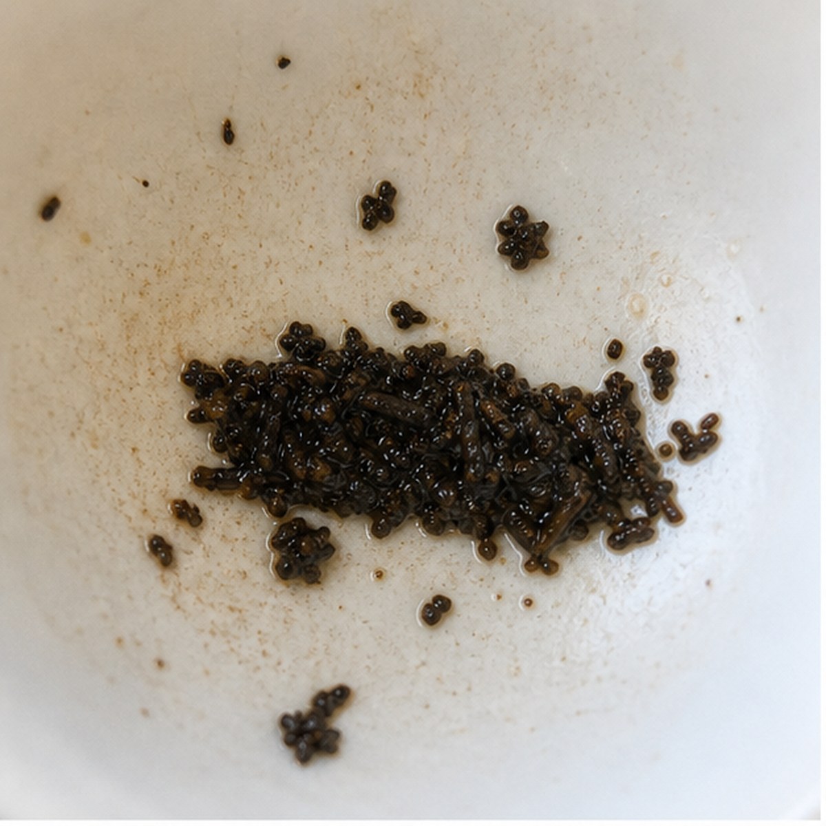Motor Car tea leaf reading cup example