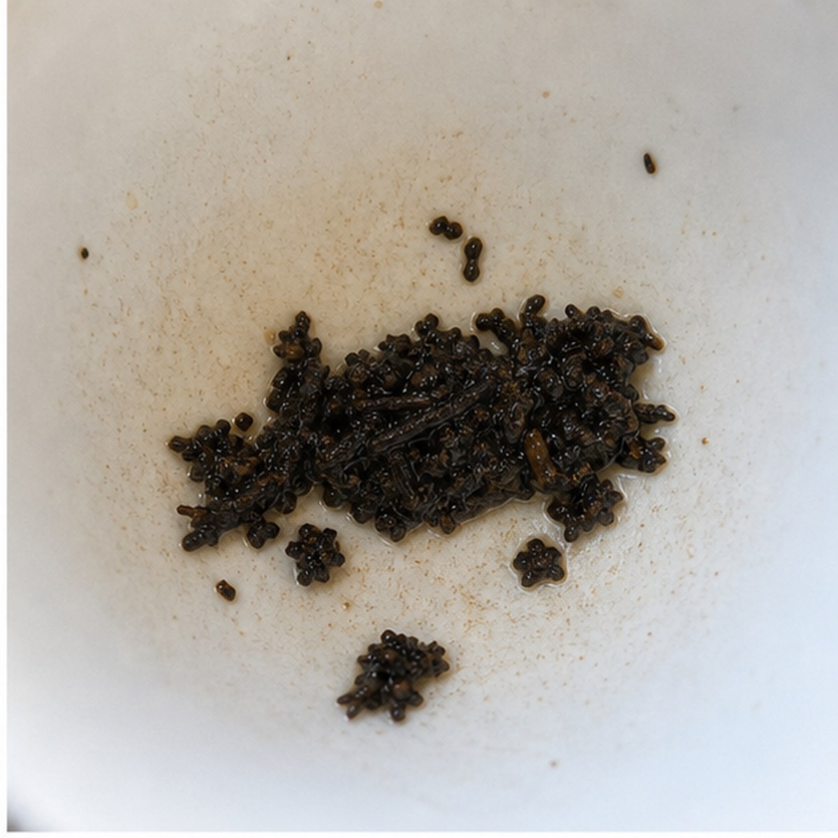 Motor Car tea leaves cup variation one