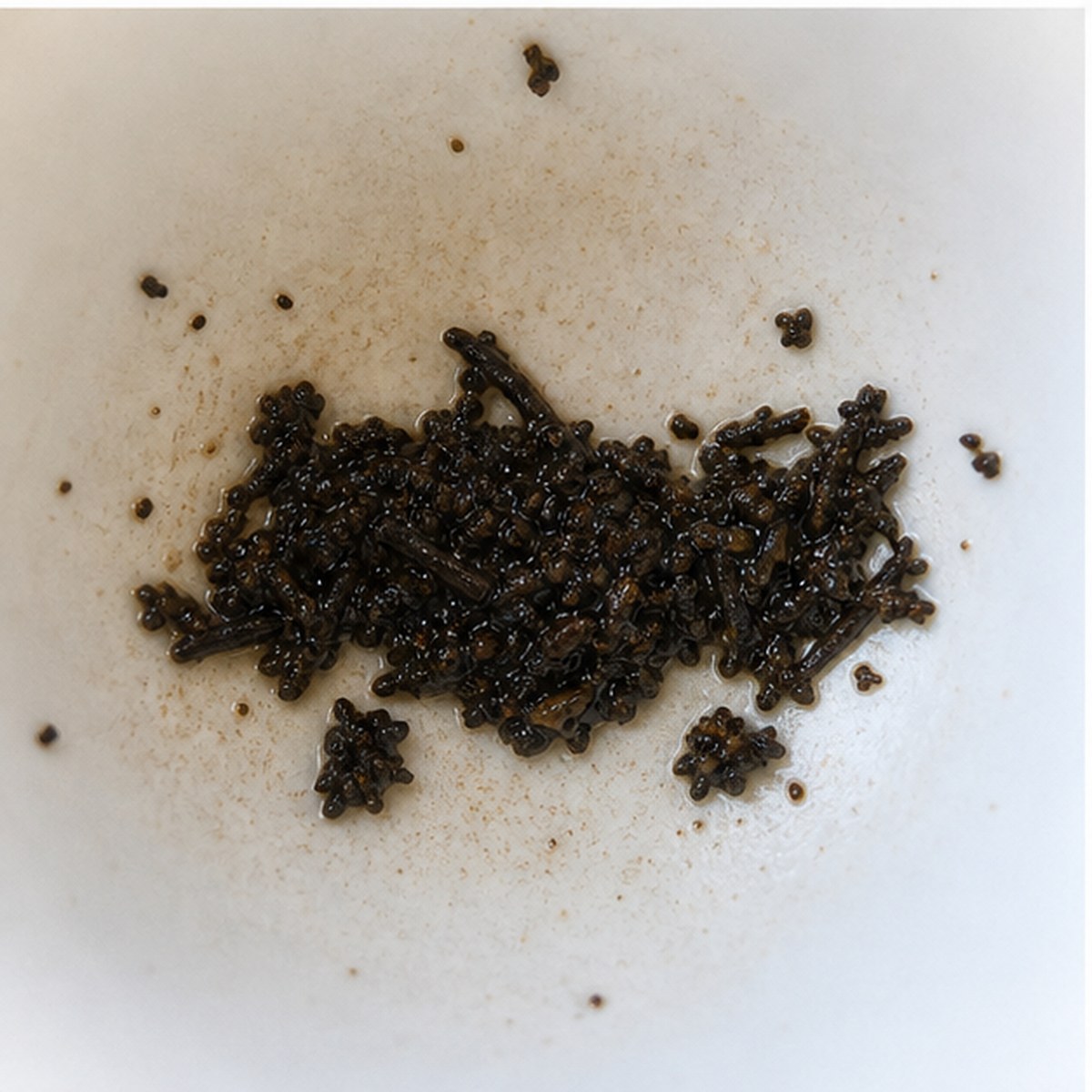 Motor Car tea leaves cup variation two