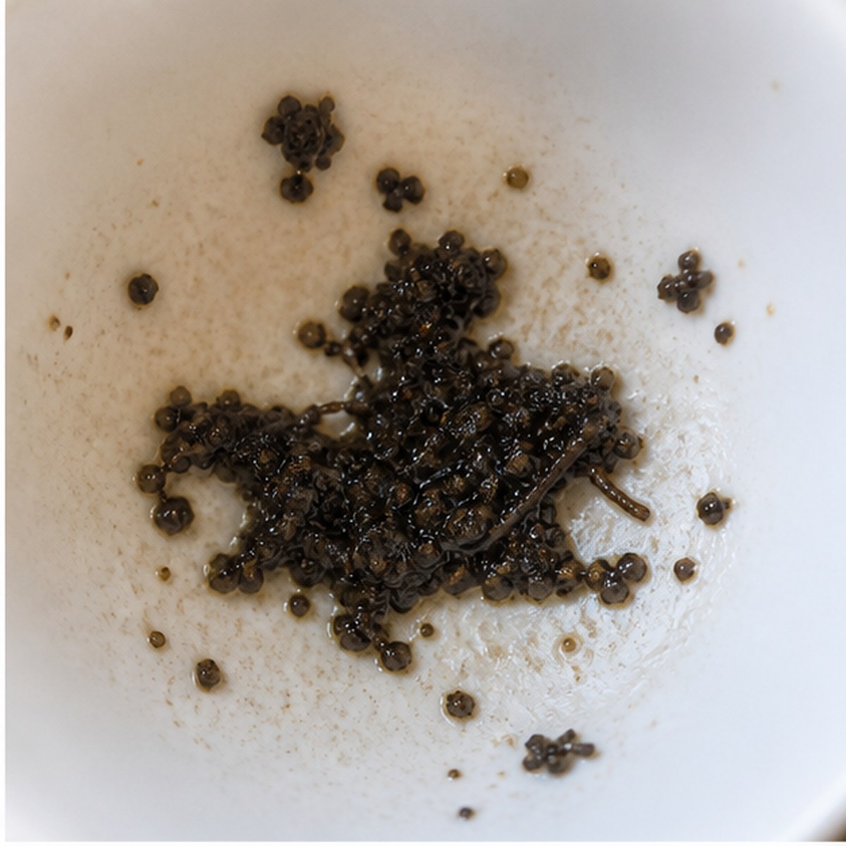 Mounted Horseman tea leaves cup variation one