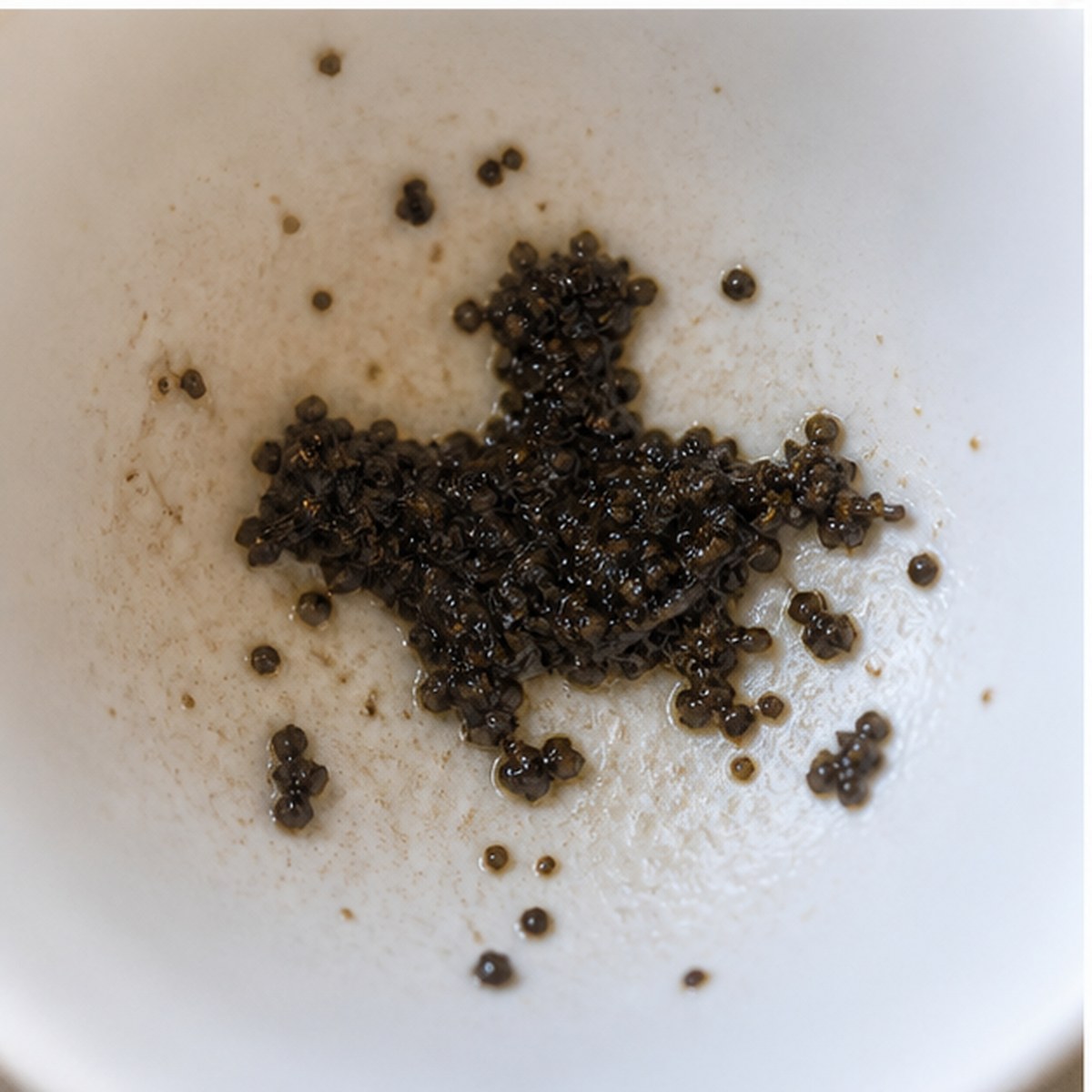 Mounted Horseman tea leaves cup variation two