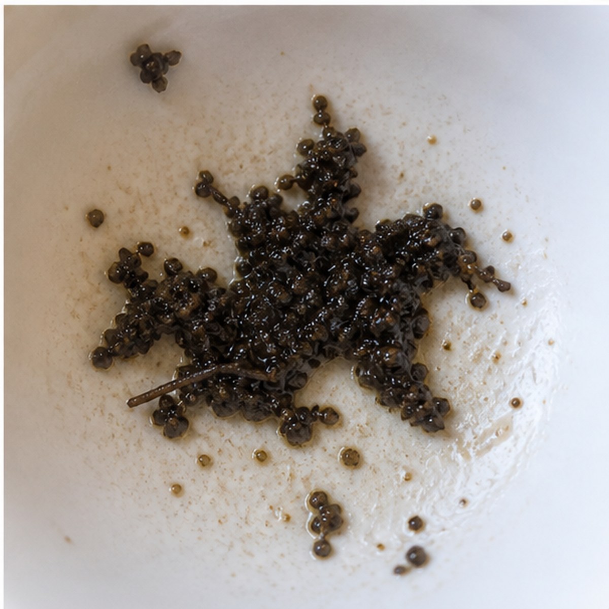 Mounted Horseman tea leaves cup variation three