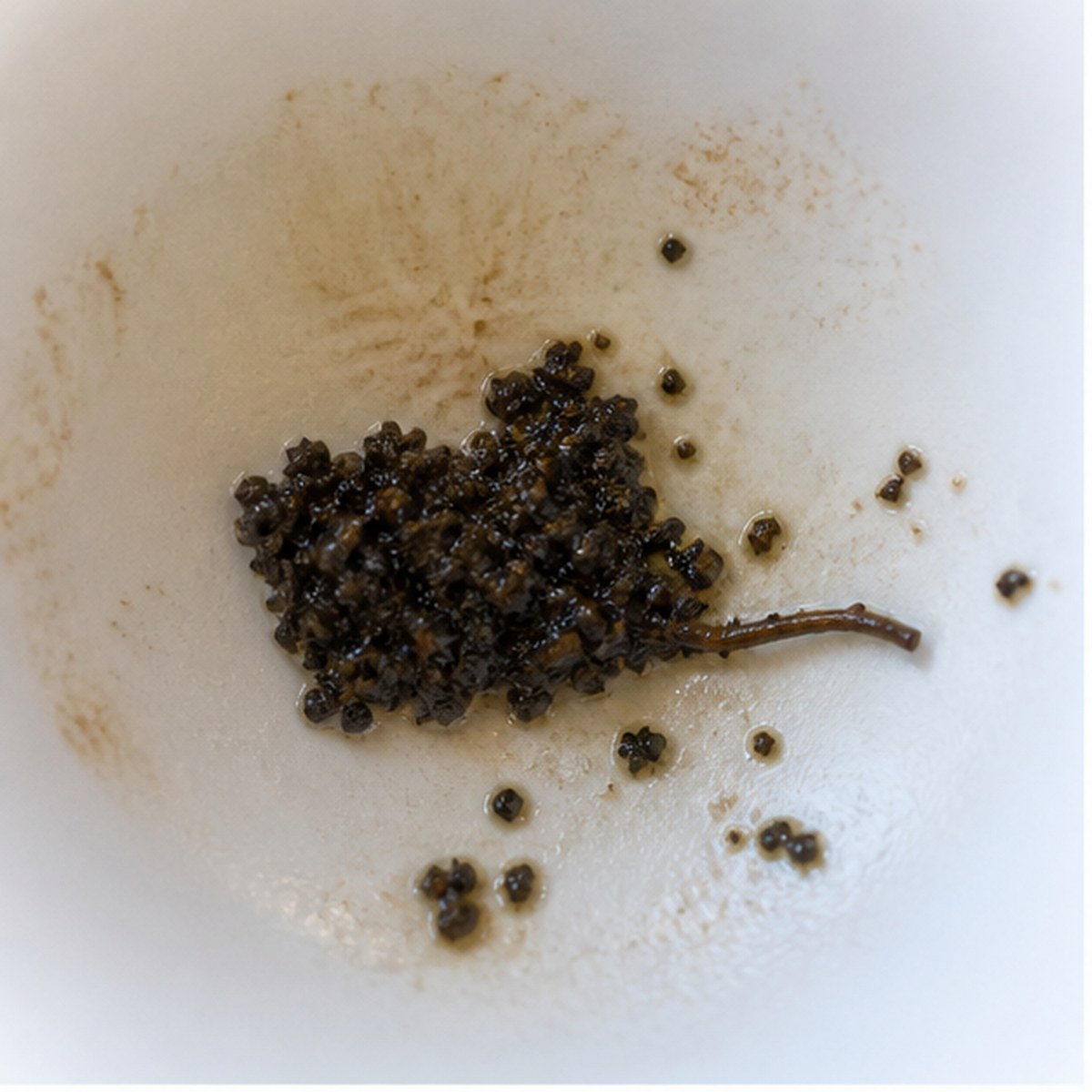 Mouse tea leaf reading cup example
