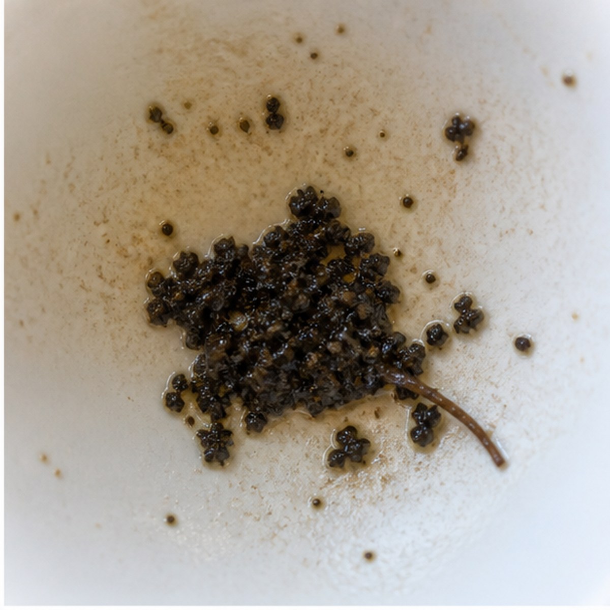 Mouse tea leaves cup variation one