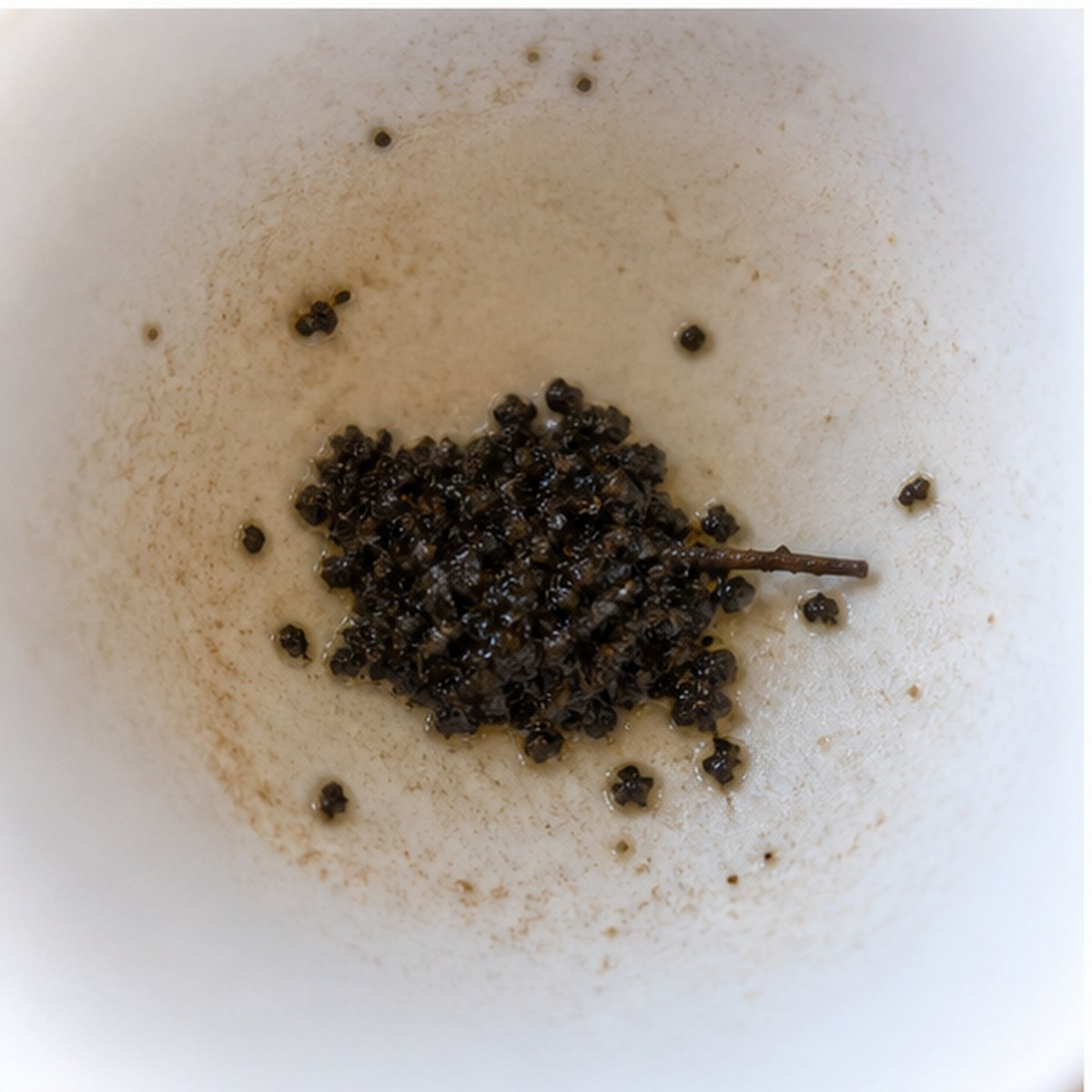Mouse tea leaves cup variation two