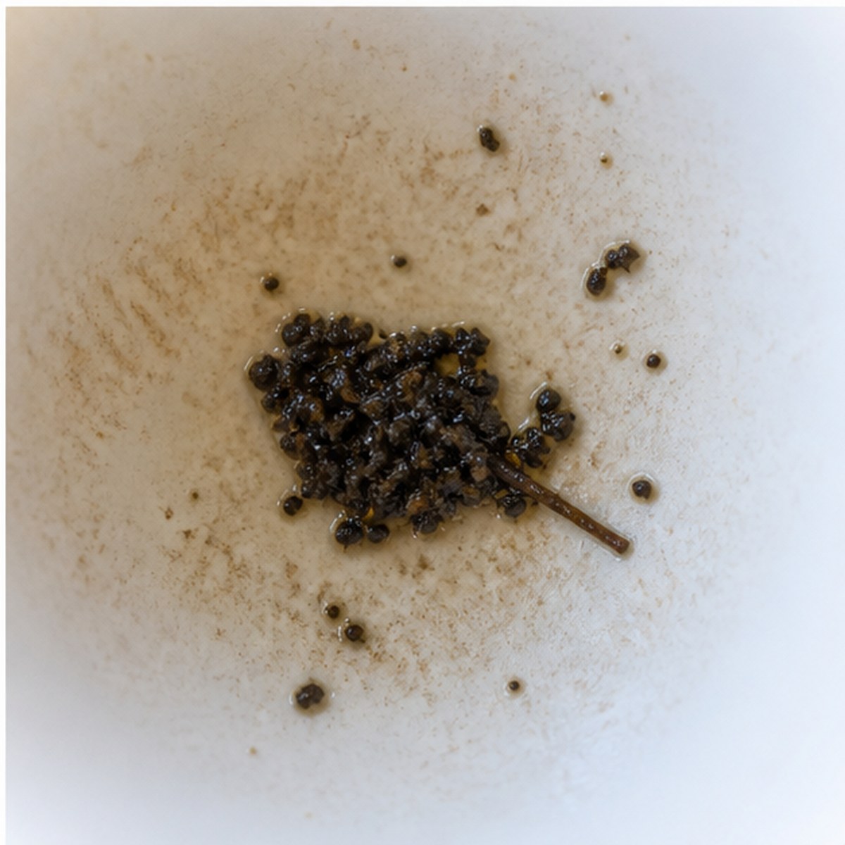 Mouse tea leaves cup variation three