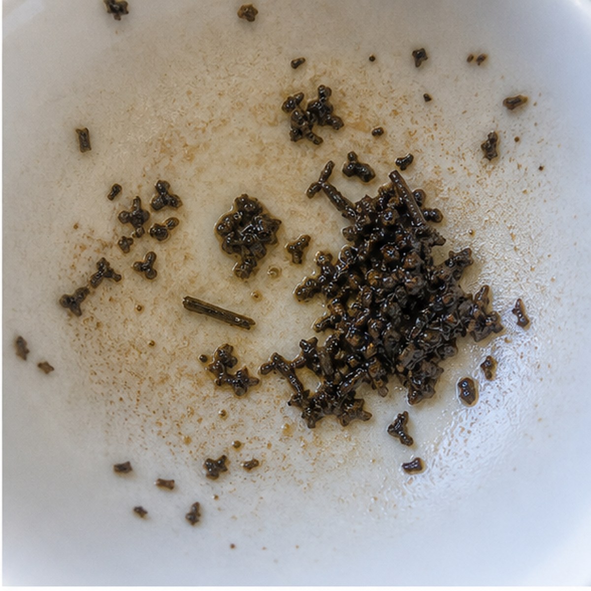 Music Conductor tea leaves cup variation one