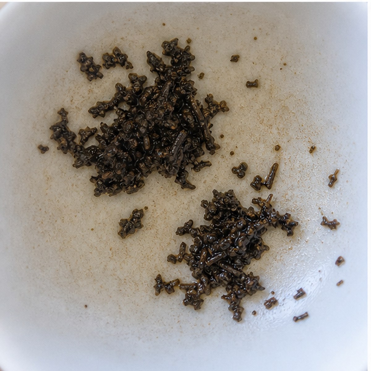 Music Conductor tea leaves cup variation two