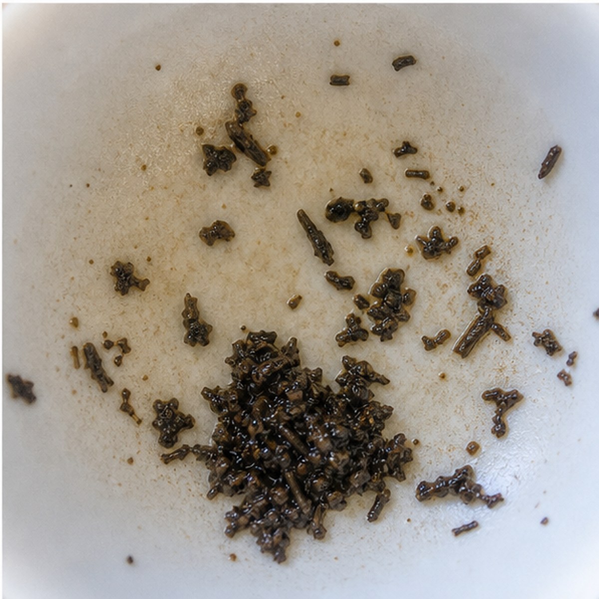 Music Conductor tea leaves cup variation three