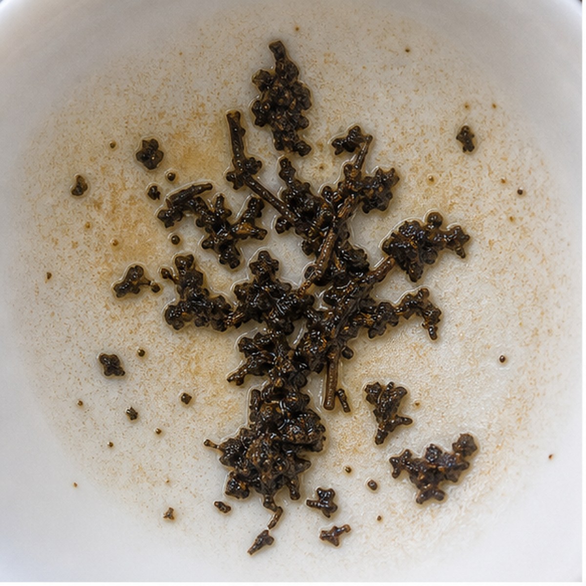 Myrtle Tree tea leaf reading cup example