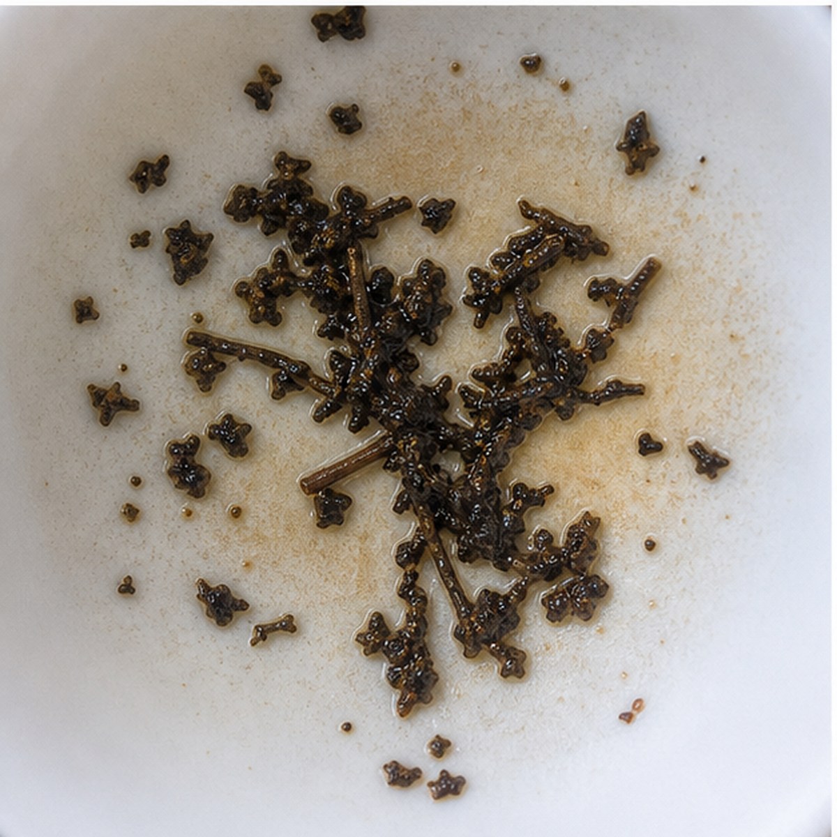 Myrtle Tree tea leaves cup variation two