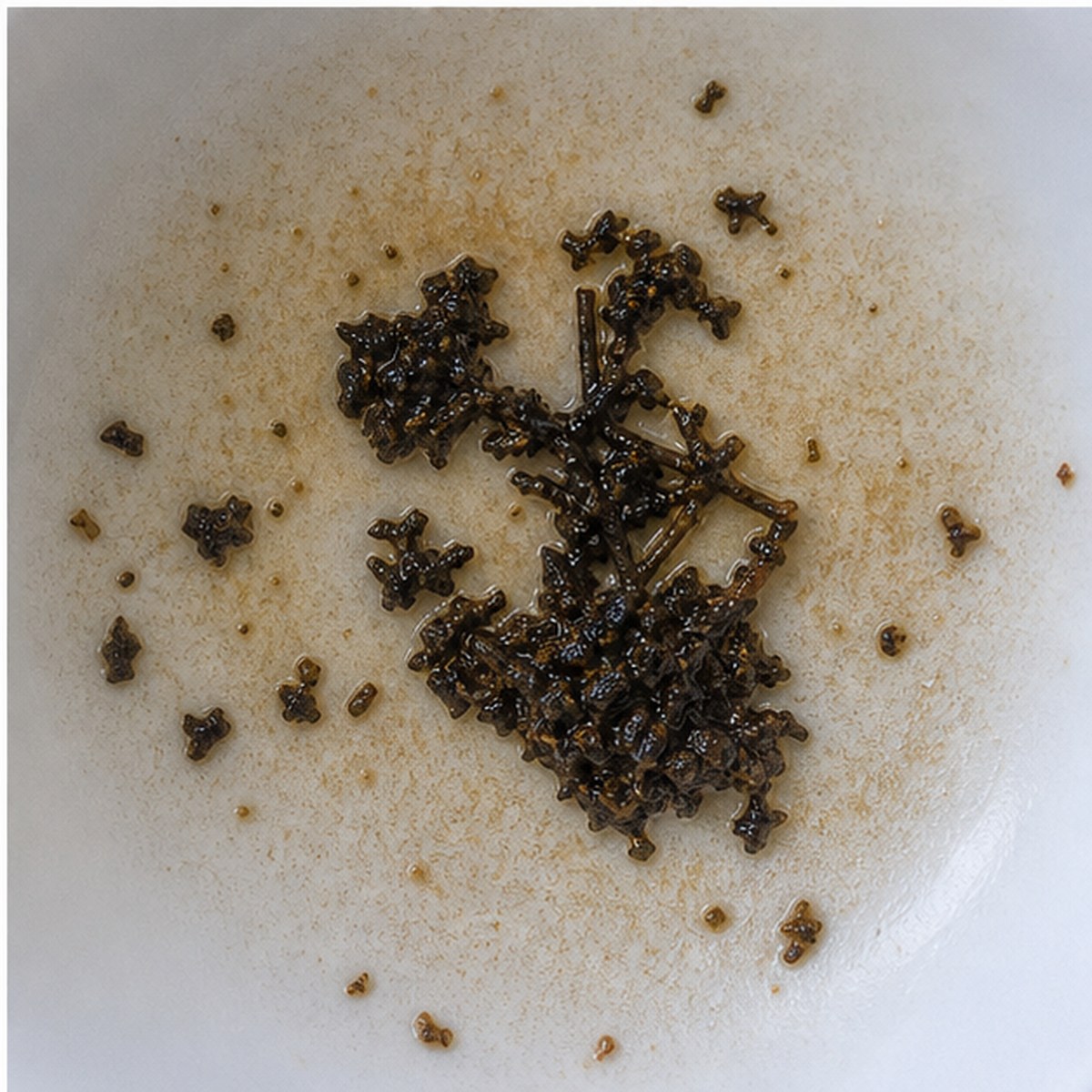 Myrtle Tree tea leaves cup variation three