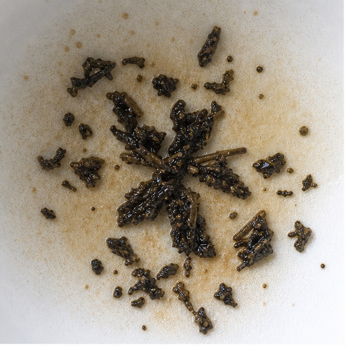 Narcissus tea leaf reading cup example