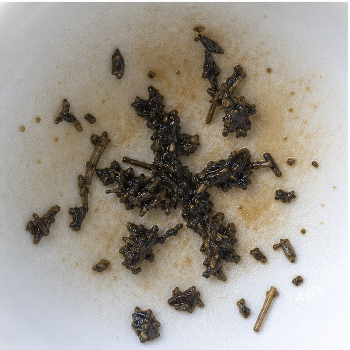 Narcissus tea leaves cup variation two