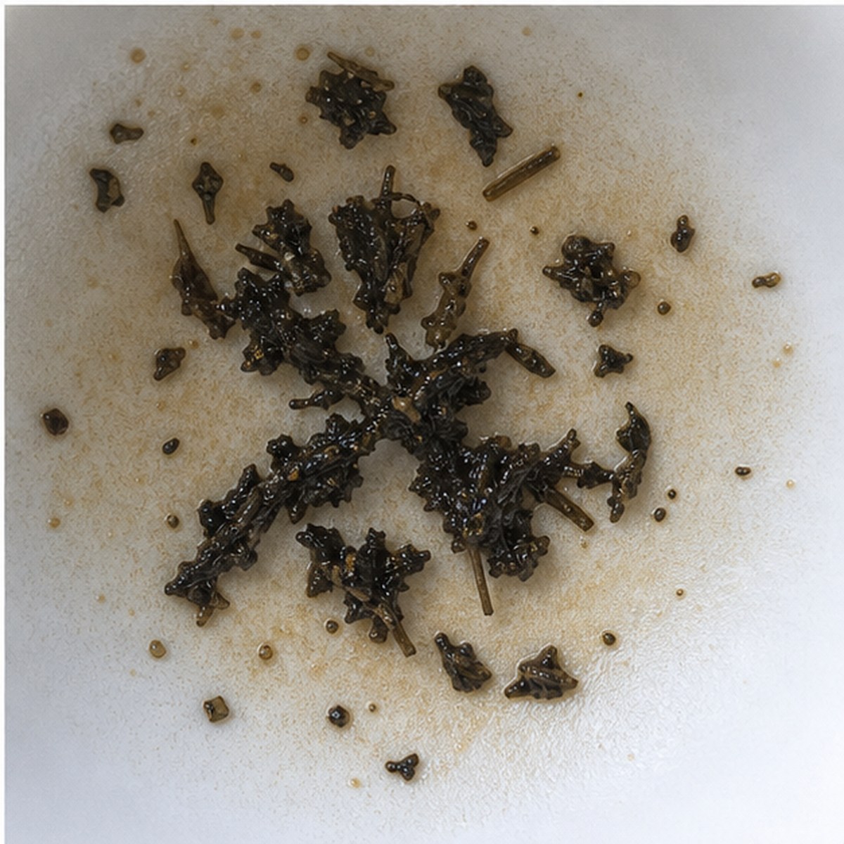 Narcissus tea leaves cup variation three
